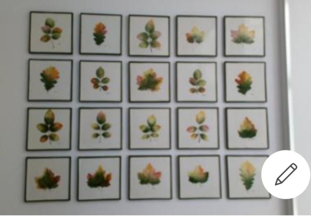קדיז Apto Patio Andaluz. Maximo Confort Y Limpieza מראה חיצוני תמונה